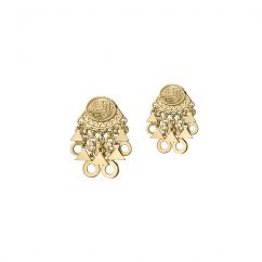 Charm Earrings